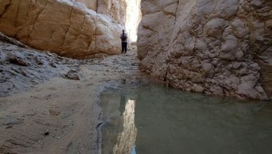 Gallary image